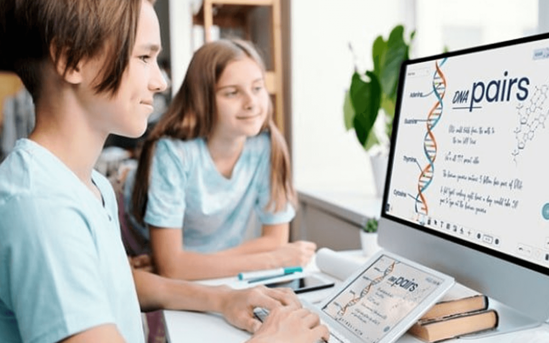 Introducing Kneura – a Virtual Classroom Platform for Blended Learning